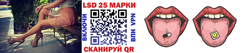 дарнет шоп  KRAKEN как войти  Марки N-bome 1,5мг  Курск 