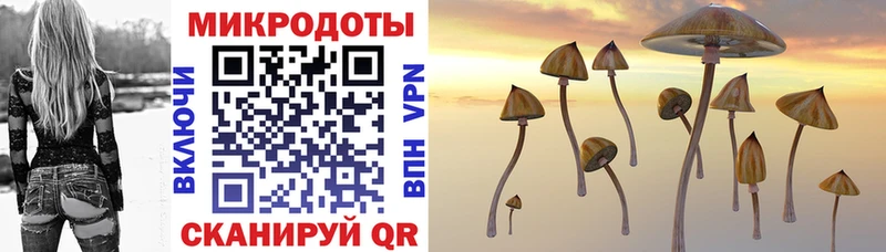 ОМГ ОМГ ссылки Курск Галлюциногенные грибы Cubensis где продают наркотики